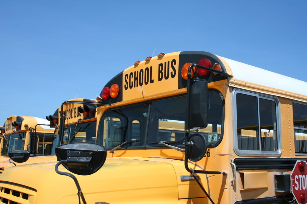 Multiple School Buses Parked Next To Each Other